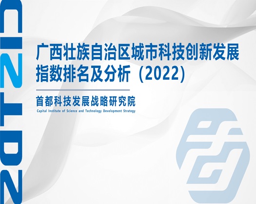 日韩美女透逼免费视频【成果发布】广西壮族自治区城市科技创新发展指数排名及分析（2022）